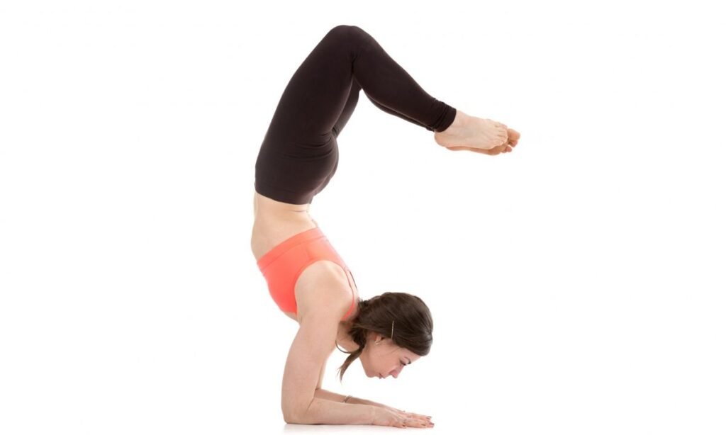 Scorpion Pose(Vrischikasana)